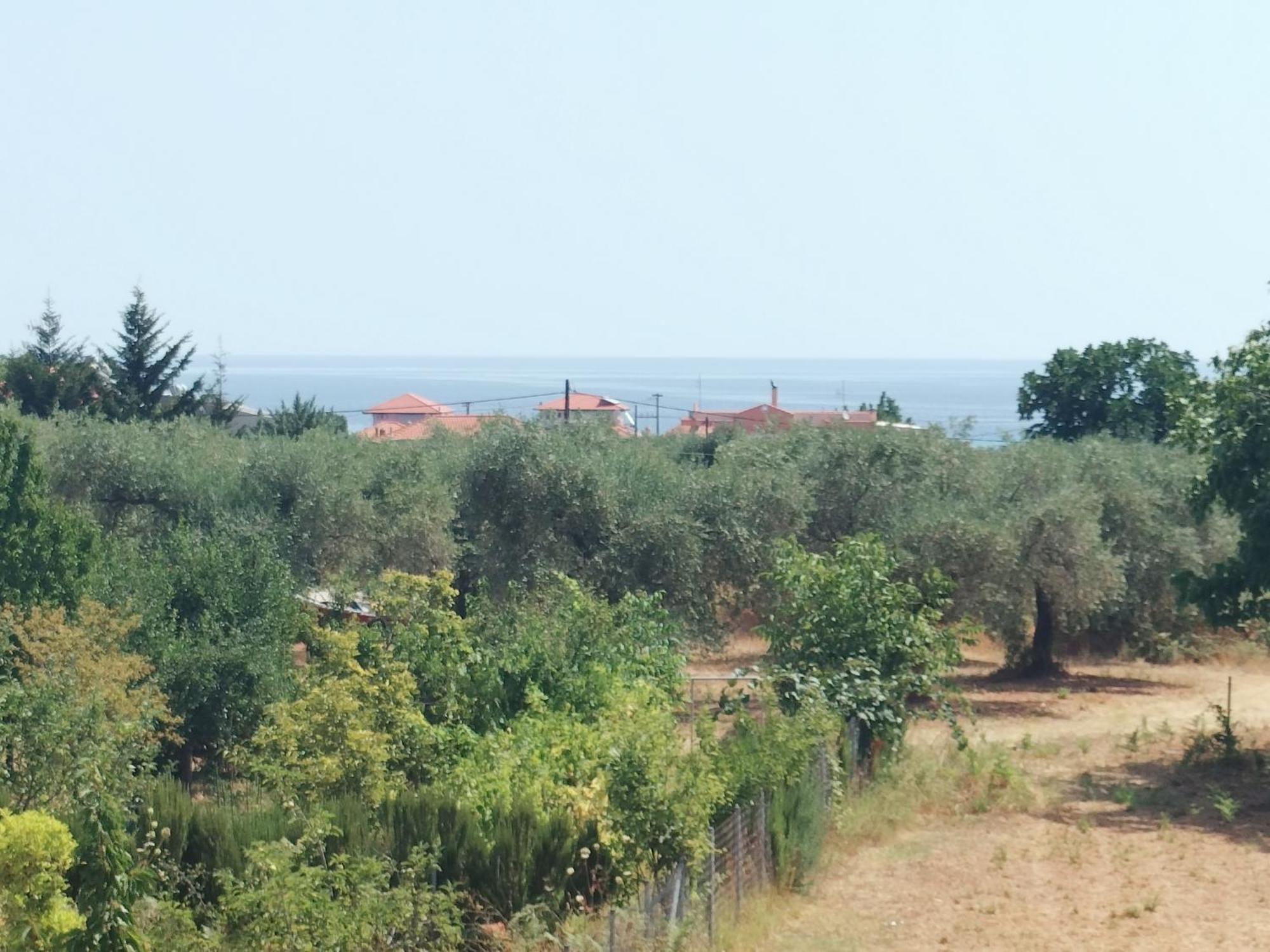 Anassa Deluxe Apartments & Studios Скала-Потамиас Номер фото